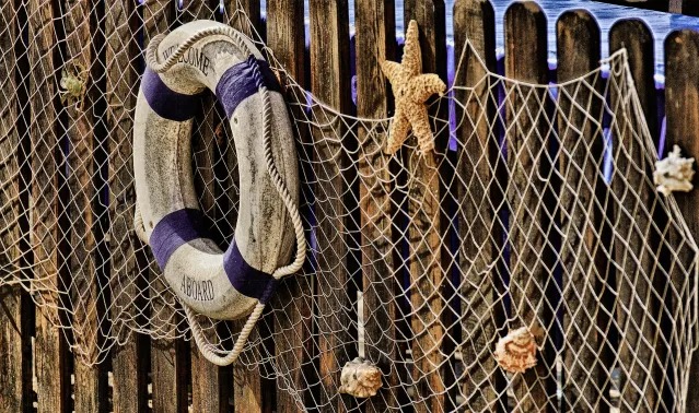 Net vs Web:都是網子怎麼分?