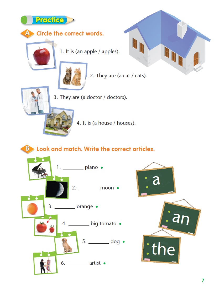 Grammar Starter 2:圖片 5